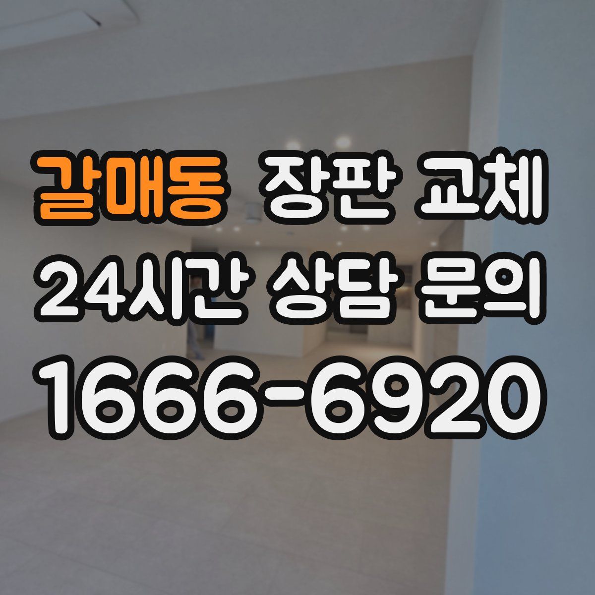 갈매동 장판 교체