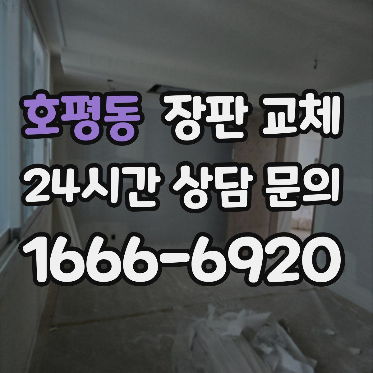 호평동 장판 교체