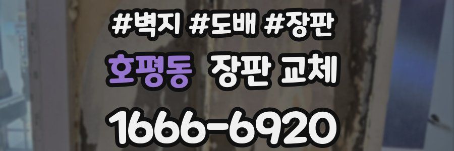 호평동 장판 교체