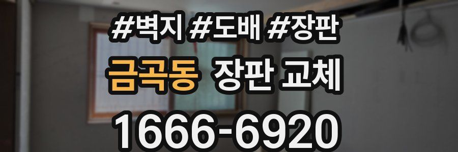 금곡동 장판 교체