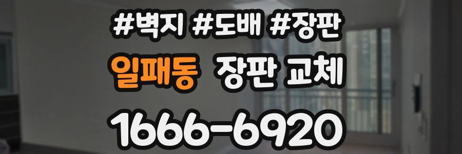 일패동 장판 교체