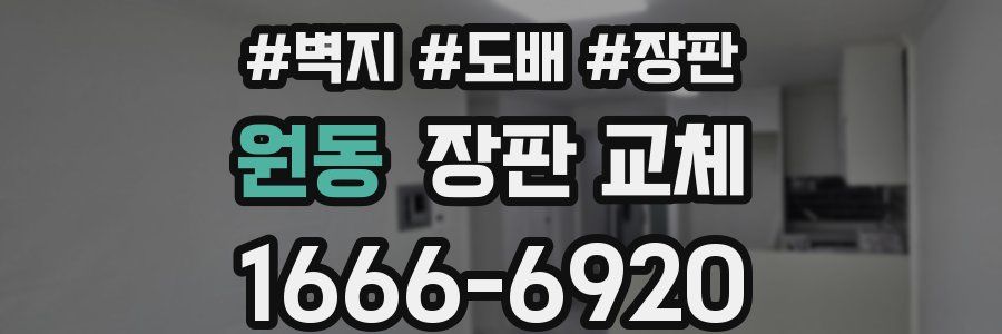 원동 장판 교체