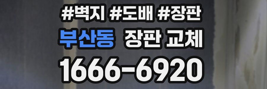 부산동 장판 교체