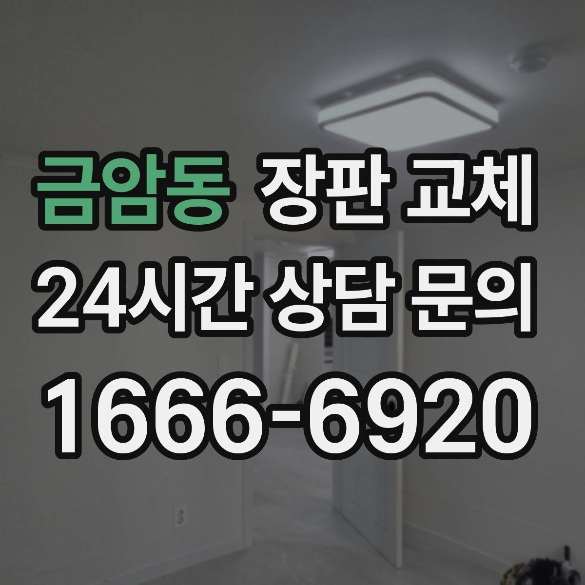 금암동 장판 교체