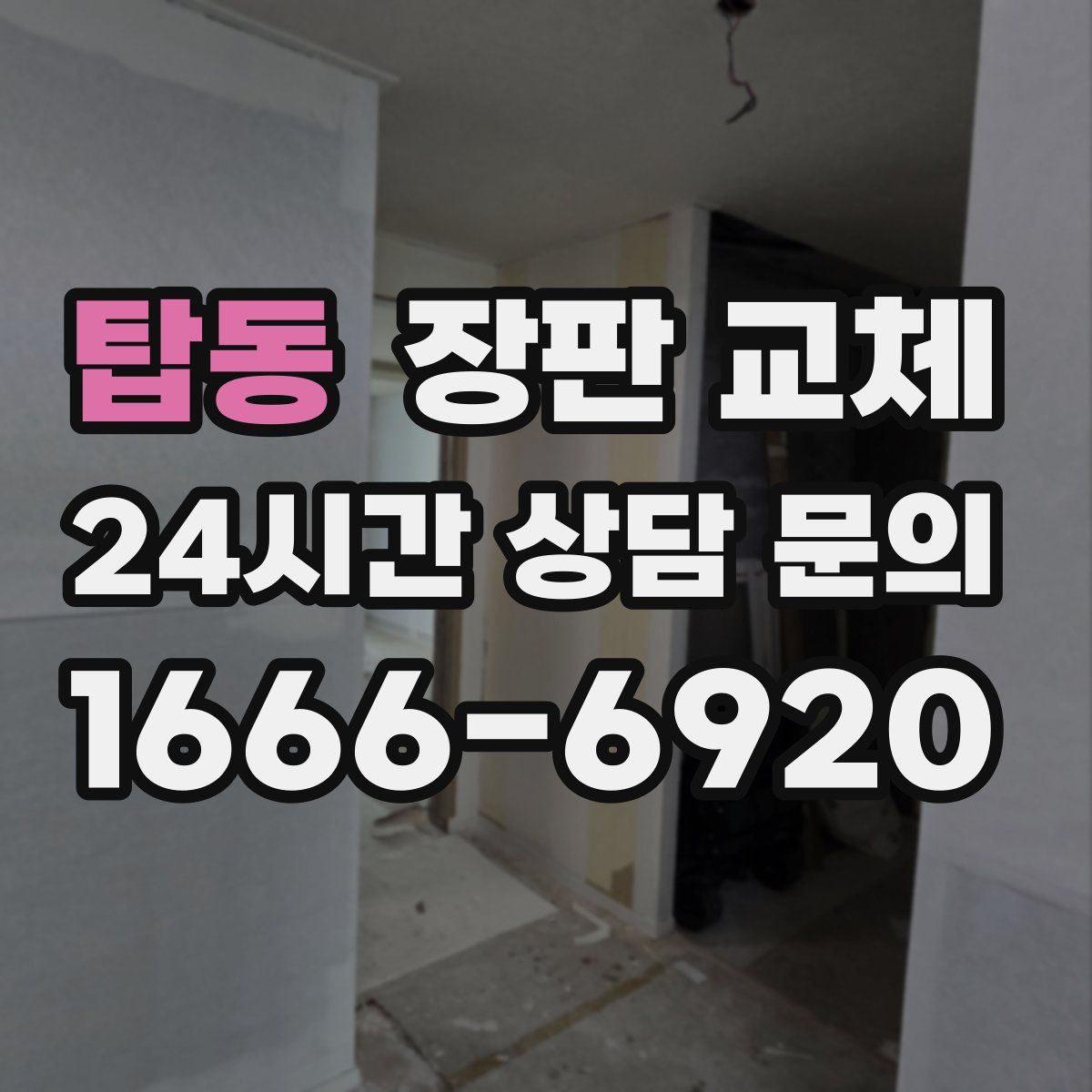 탑동 장판 교체