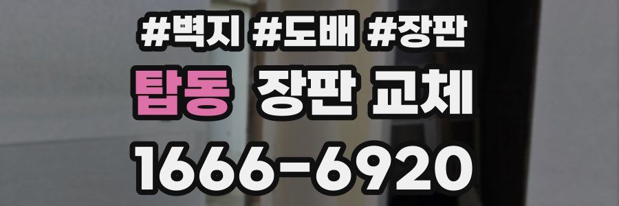 탑동 장판 교체