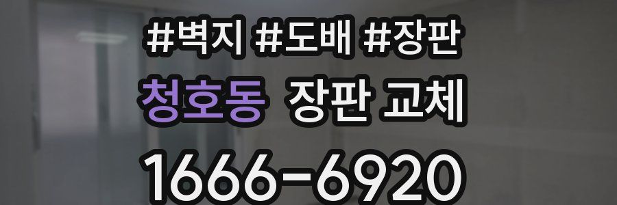 청호동 장판 교체