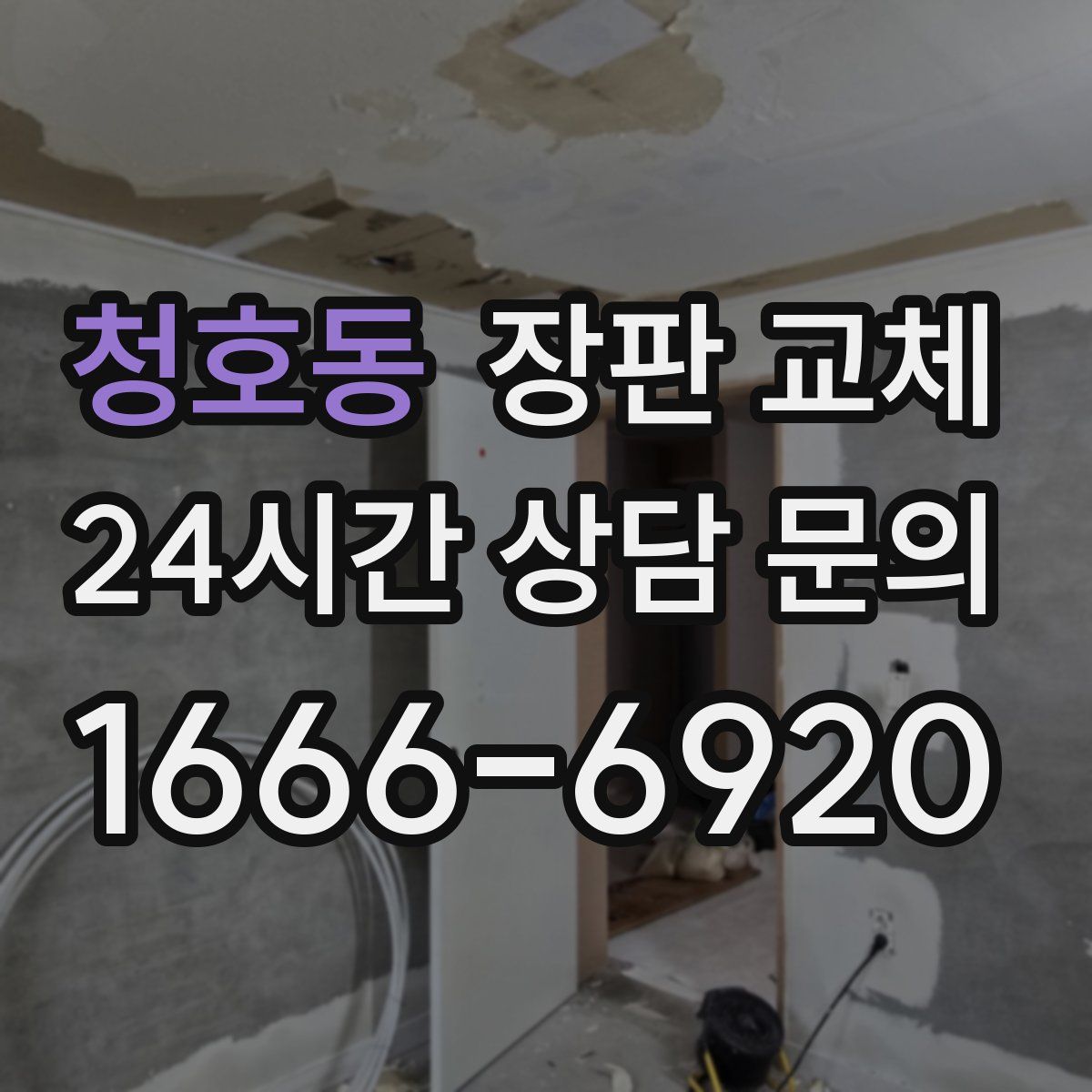 청호동 장판 교체