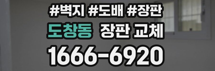 도창동 장판 교체