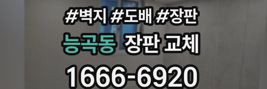 능곡동 장판 교체