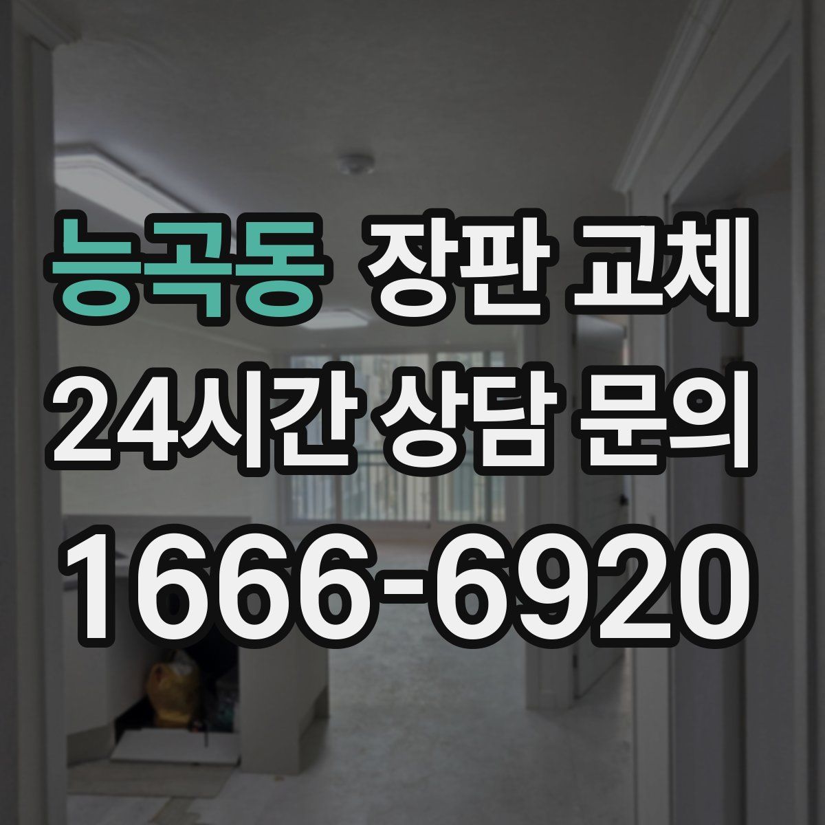 능곡동 장판 교체