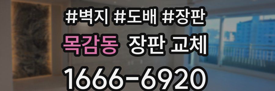 목감동 장판 교체