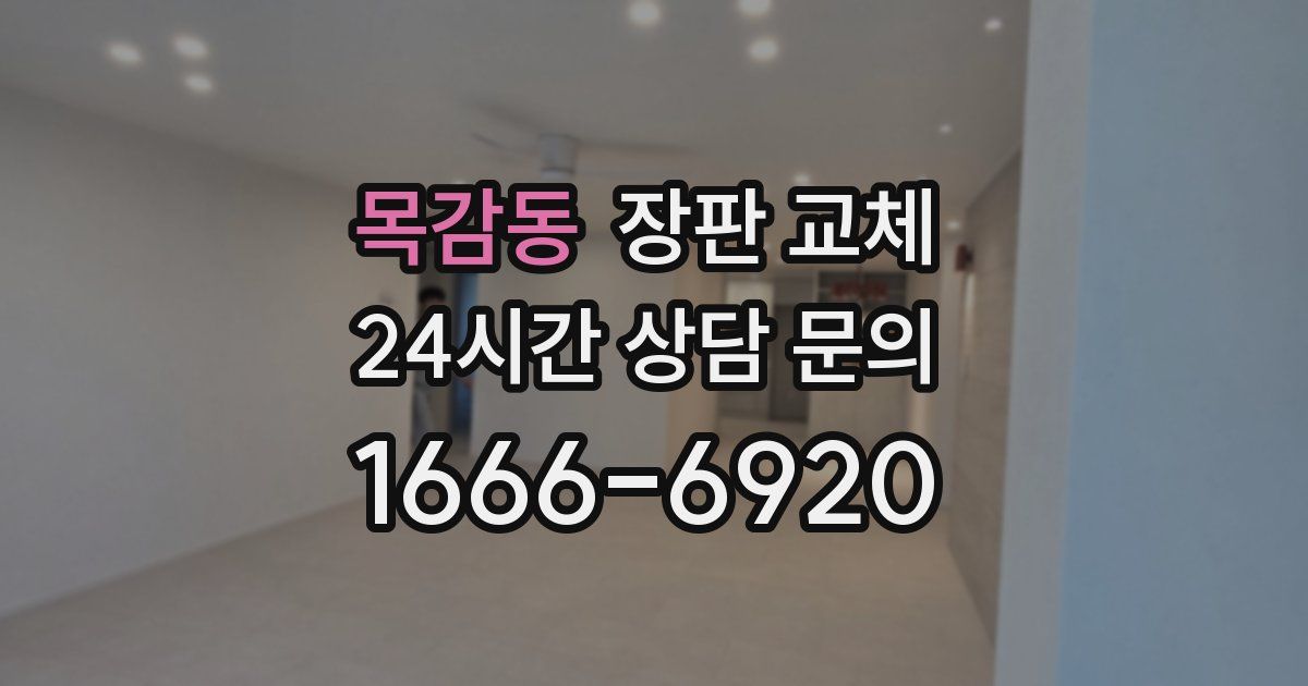 목감동 장판 교체