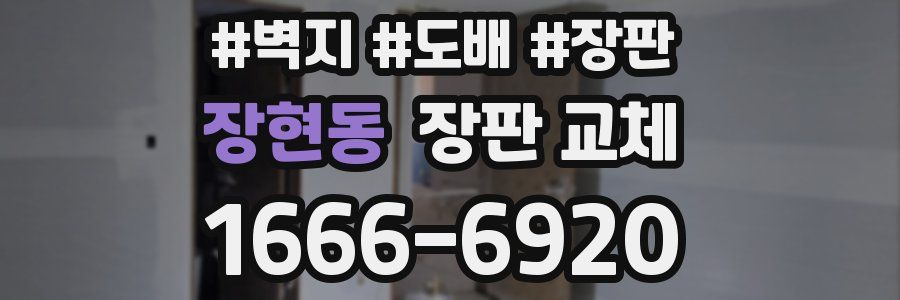 장현동 장판 교체