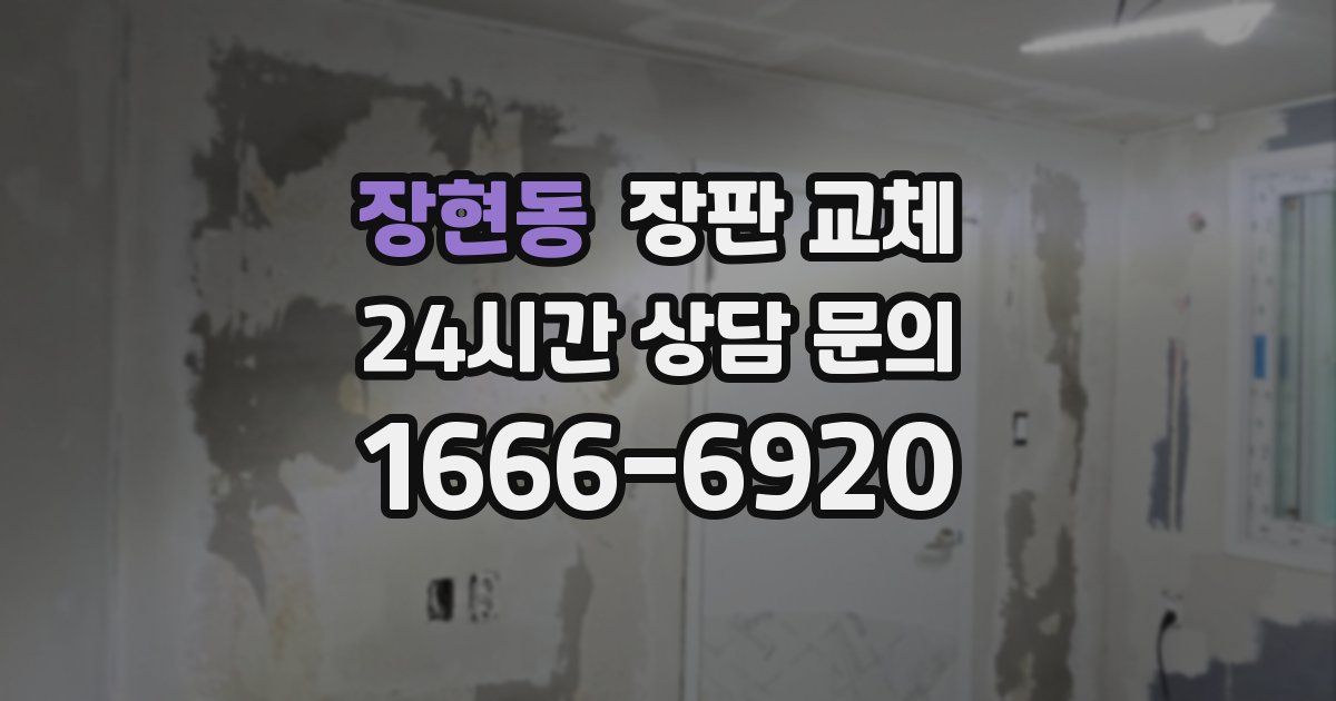 장현동 장판 교체