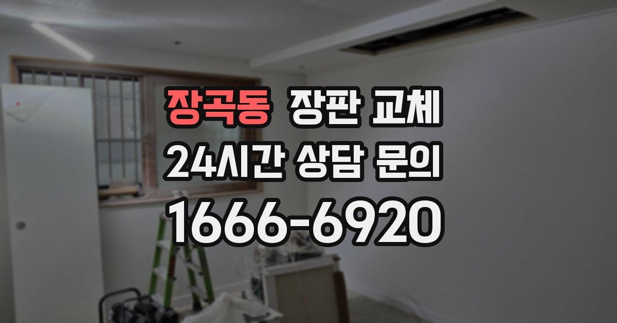 장곡동 장판 교체