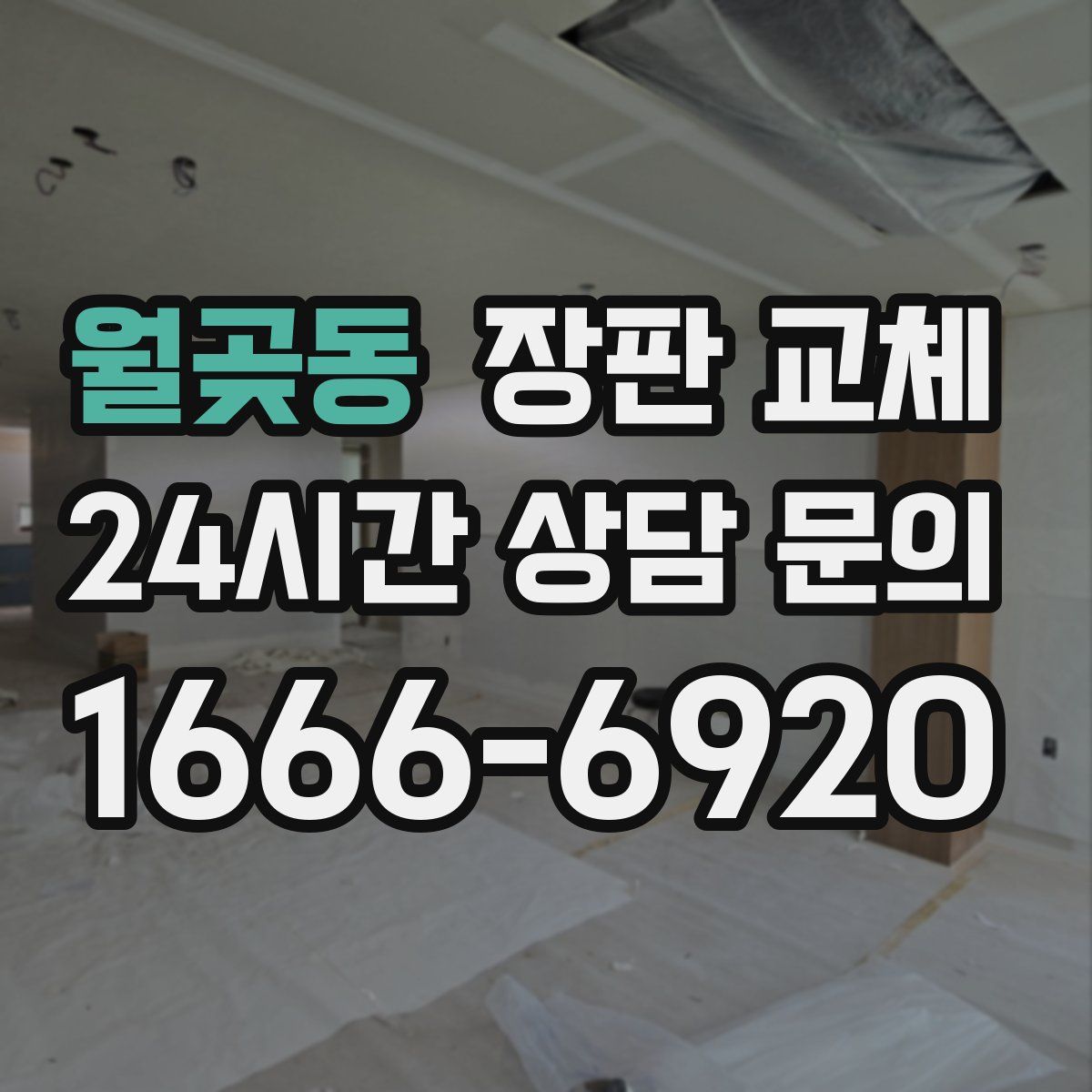 월곶동 장판 교체
