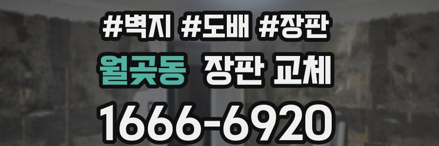 월곶동 장판 교체