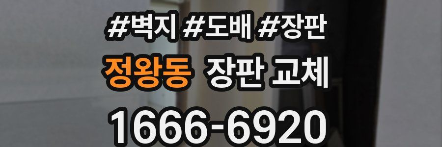 정왕동 장판 교체