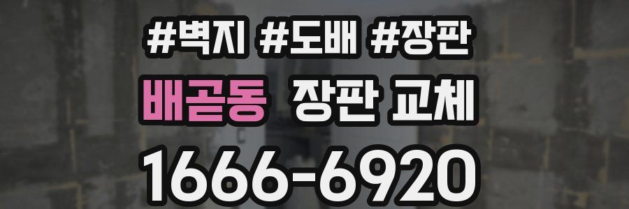 배곧동 장판 교체