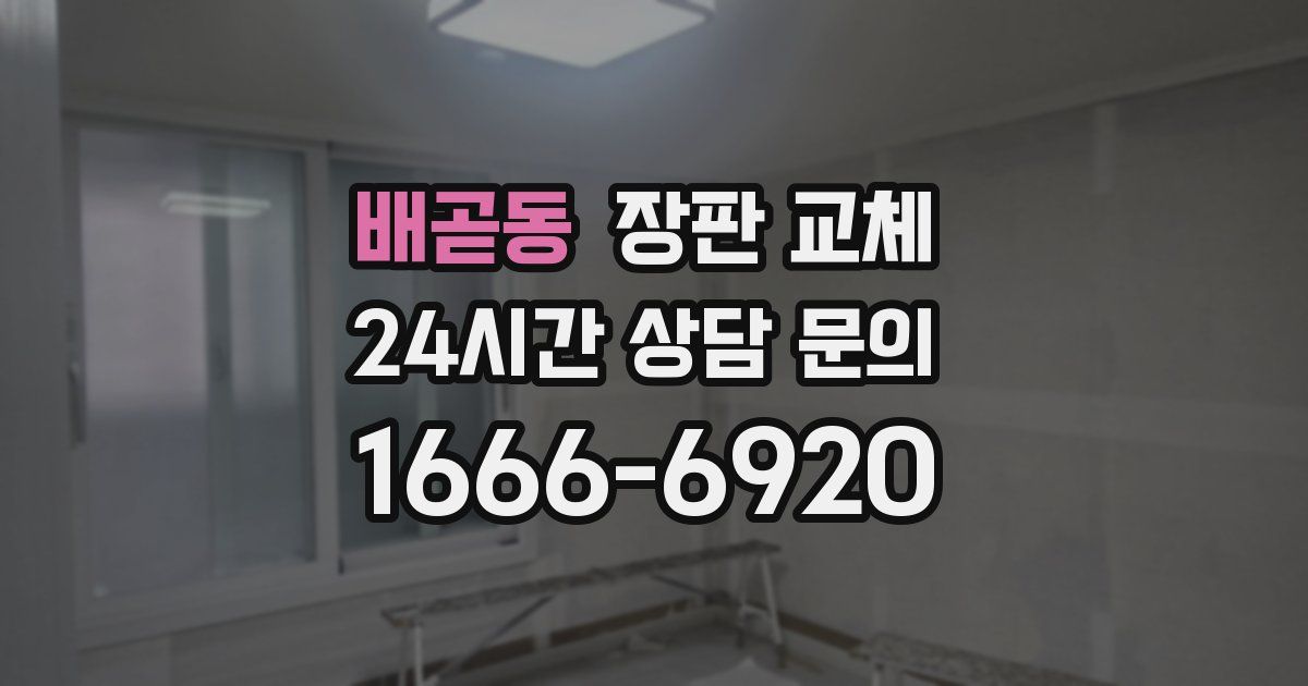 배곧동 장판 교체