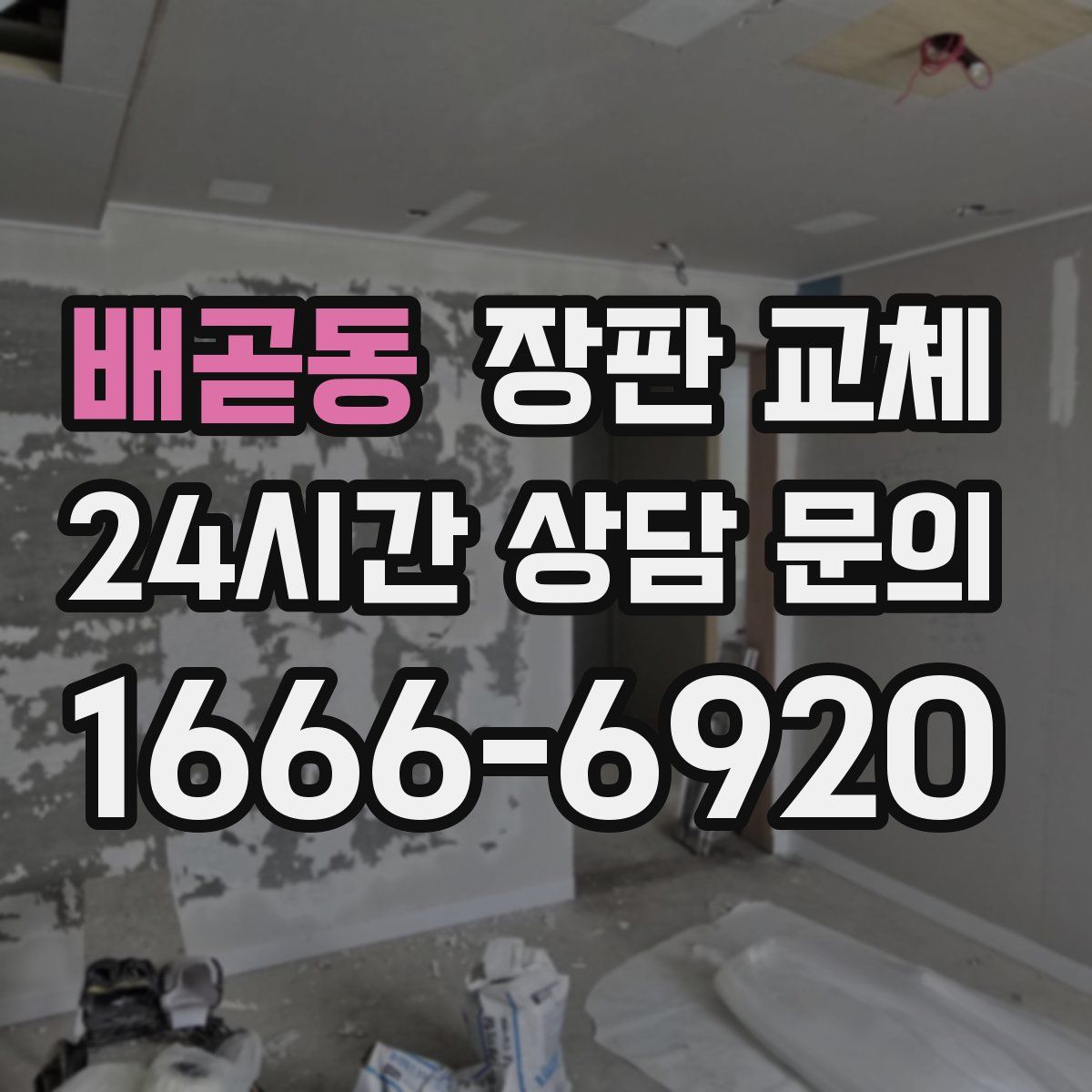 배곧동 장판 교체