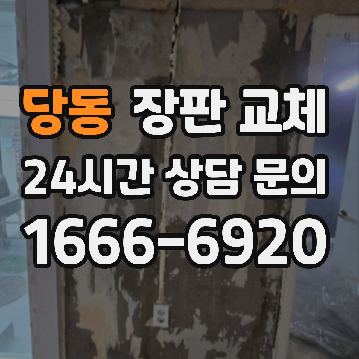 당동 장판 교체