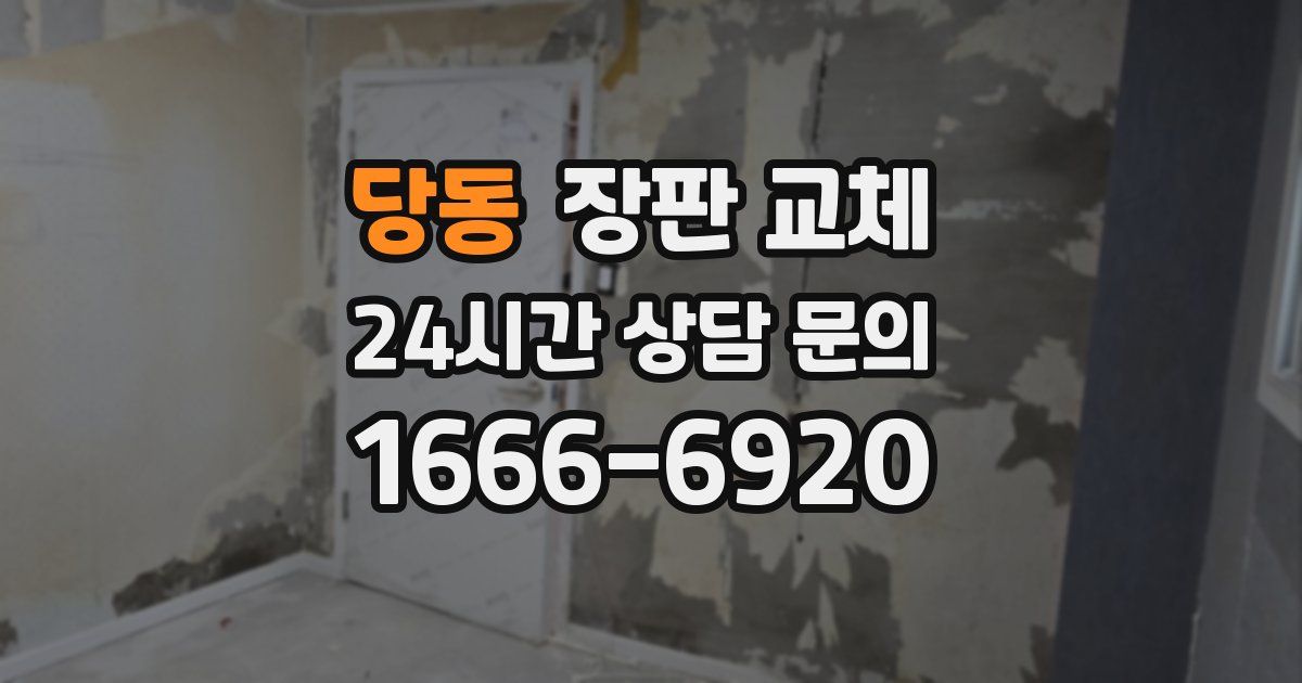 당동 장판 교체
