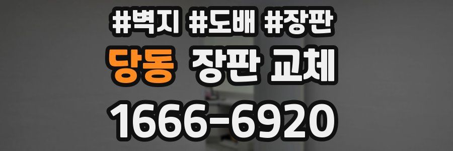 당동 장판 교체