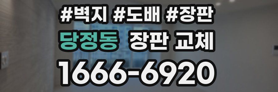 당정동 장판 교체