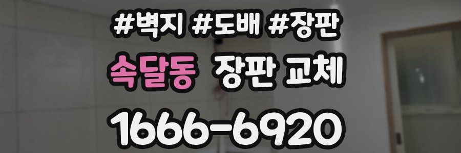 속달동 장판 교체