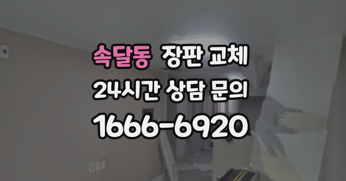 속달동 장판 교체