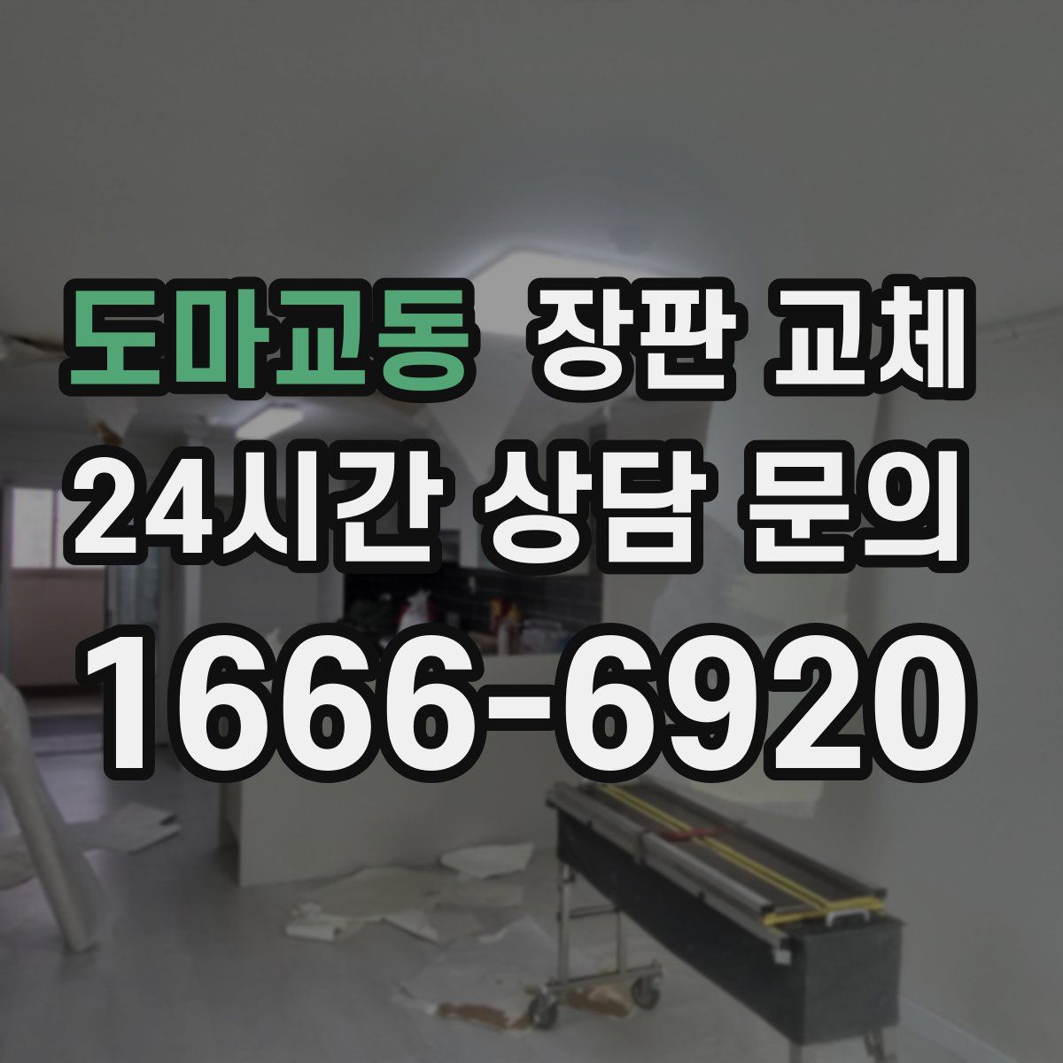도마교동 장판 교체