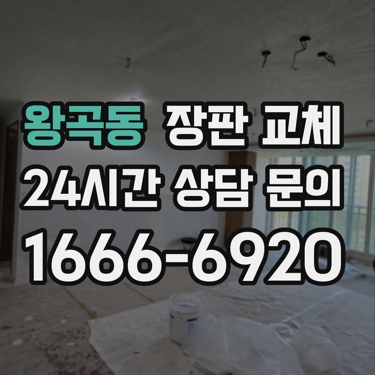 왕곡동 장판 교체