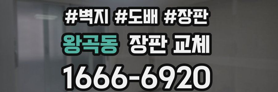 왕곡동 장판 교체