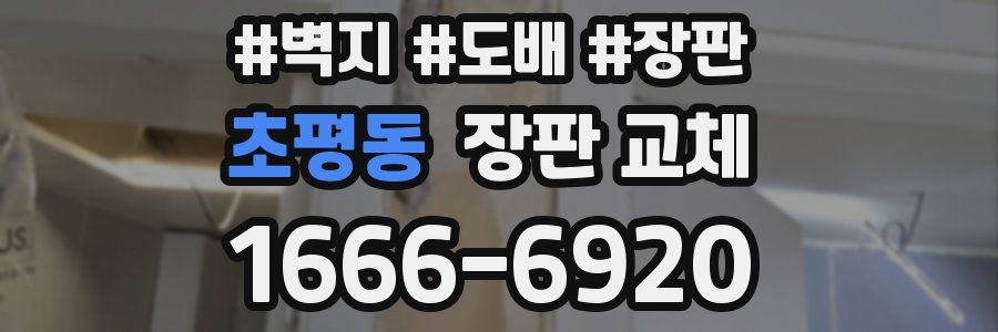 초평동 장판 교체