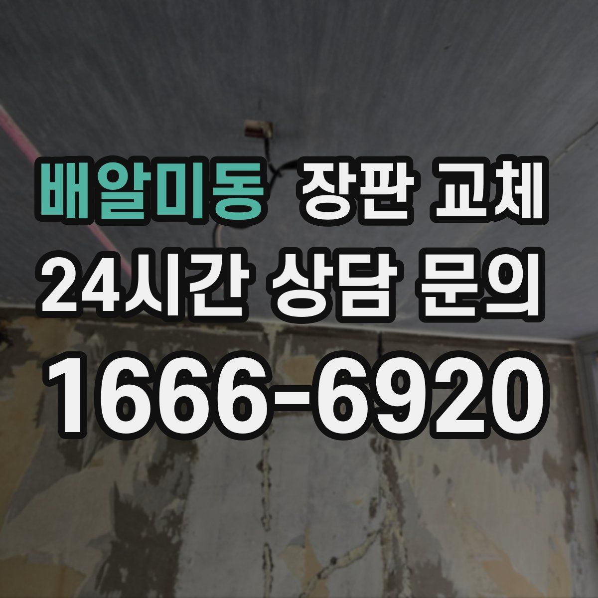 배알미동 장판 교체