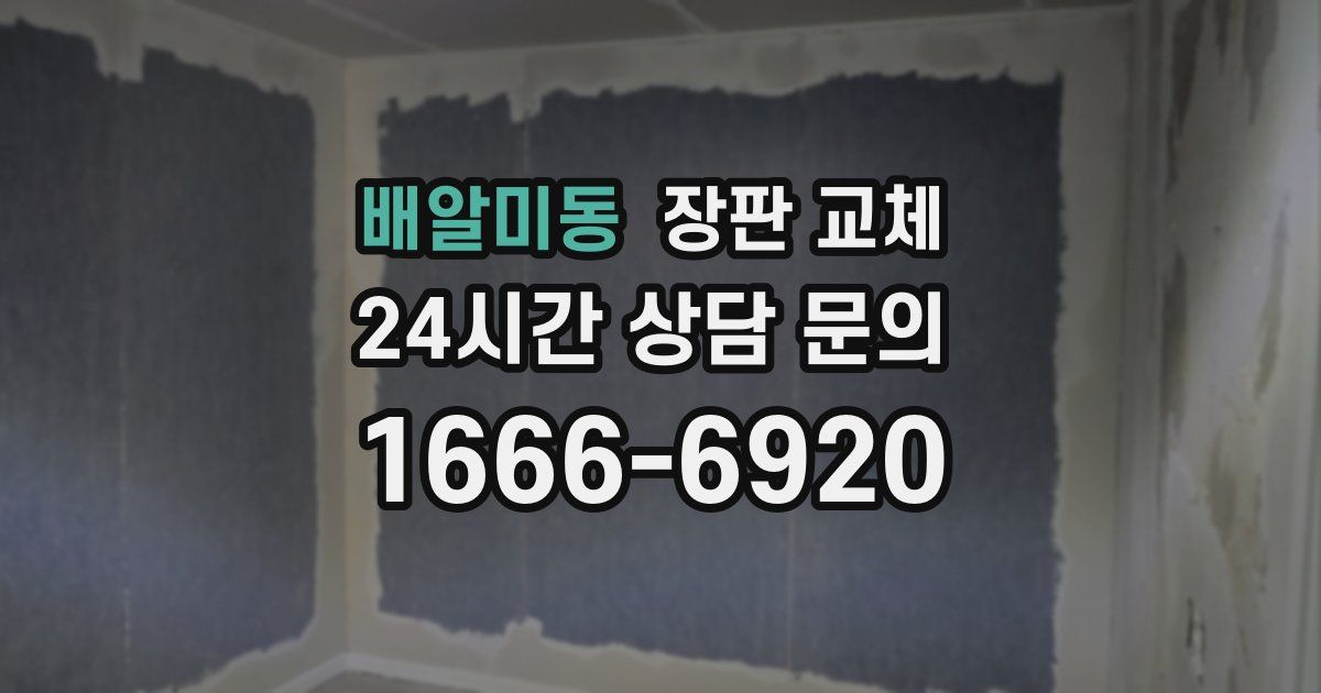 배알미동 장판 교체
