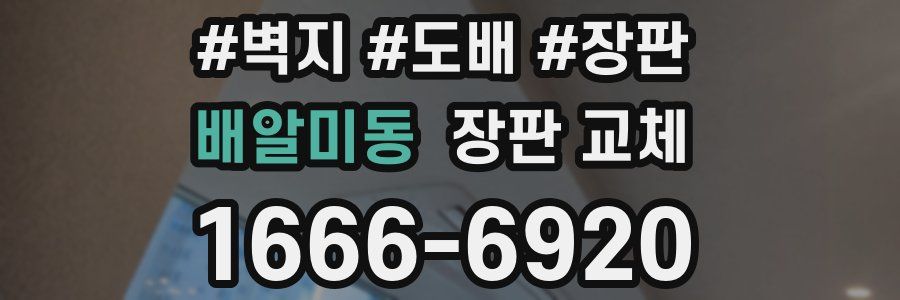 배알미동 장판 교체