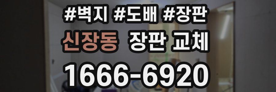 신장동 장판 교체