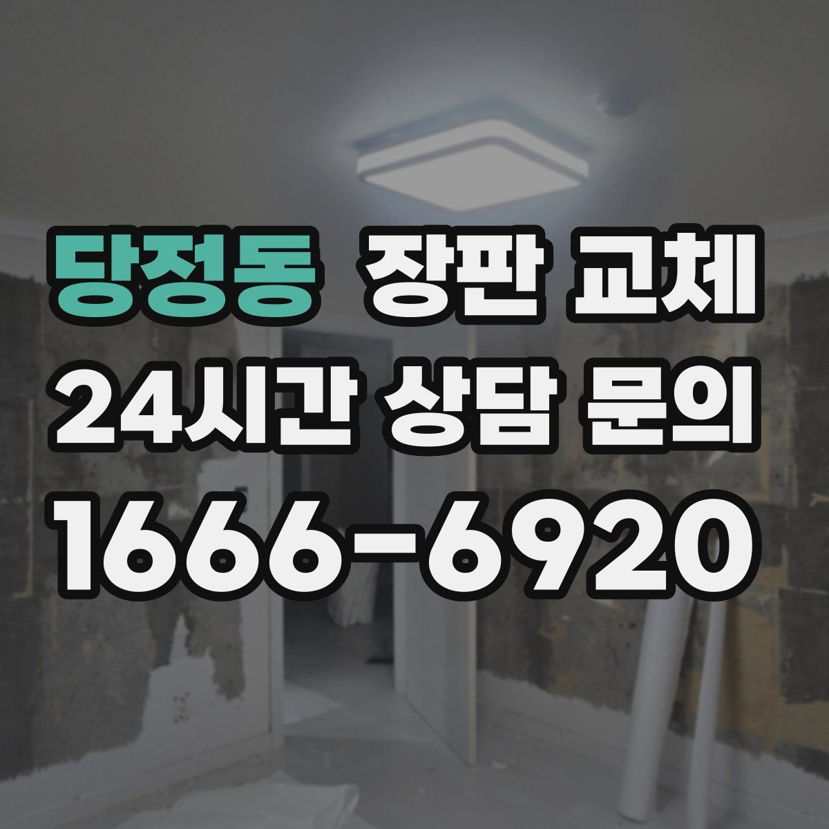 당정동 장판 교체