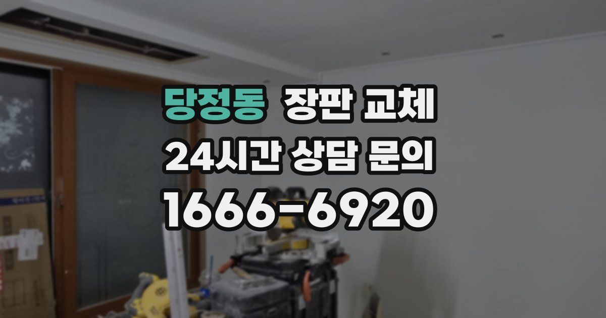 당정동 장판 교체