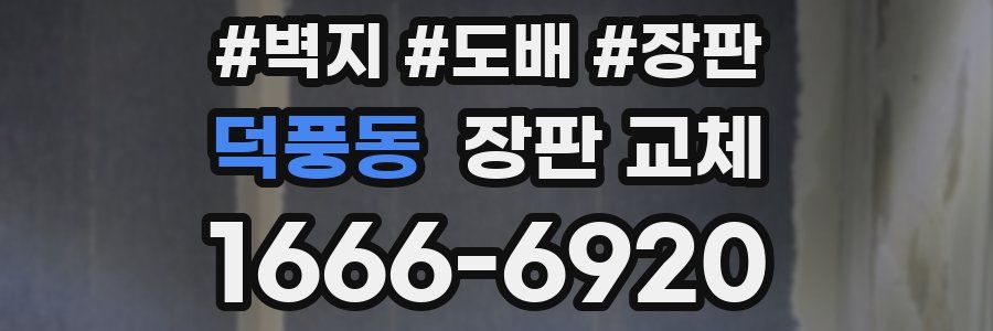 덕풍동 장판 교체