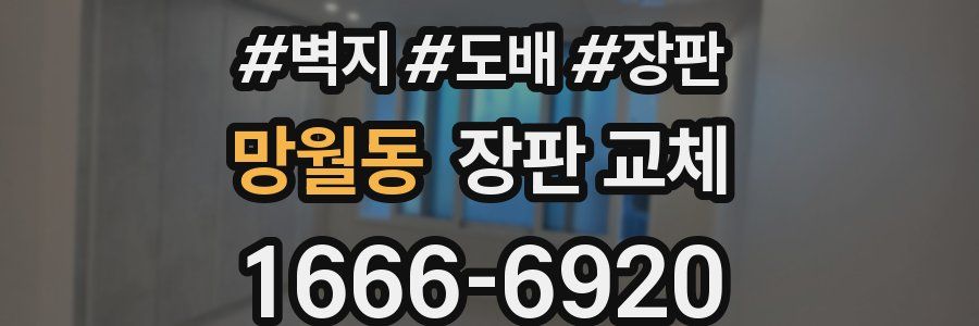 망월동 장판 교체
