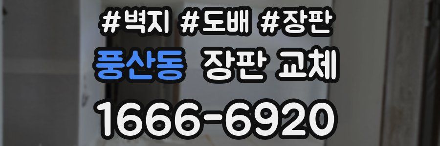 풍산동 장판 교체