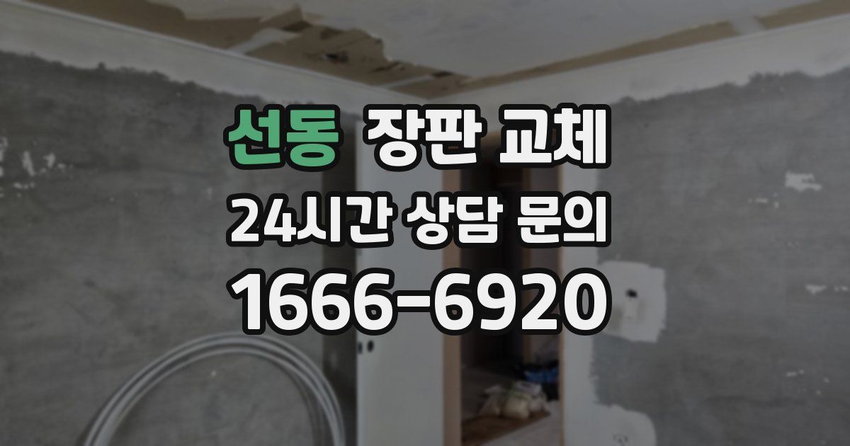 선동 장판 교체