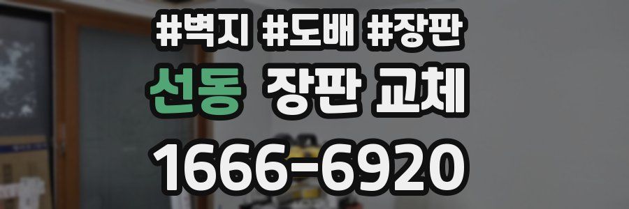 선동 장판 교체