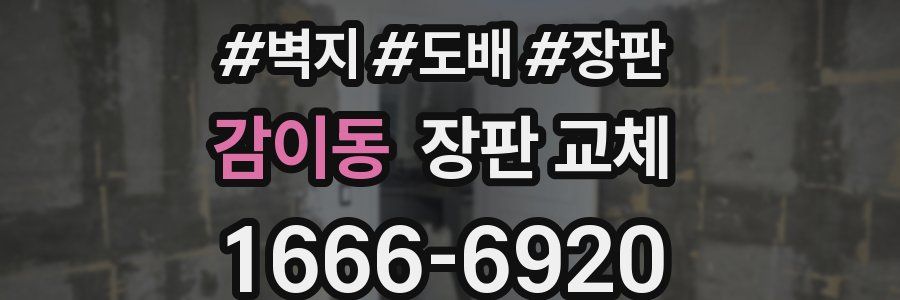 감이동 장판 교체