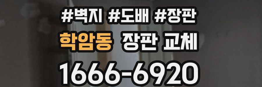 학암동 장판 교체
