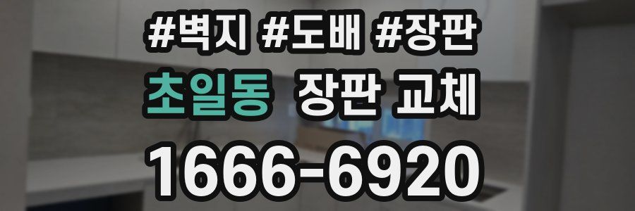 초일동 장판 교체